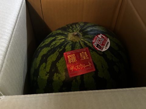 特大スイカ　大玉　10㌔以上　羅皇ザスイート