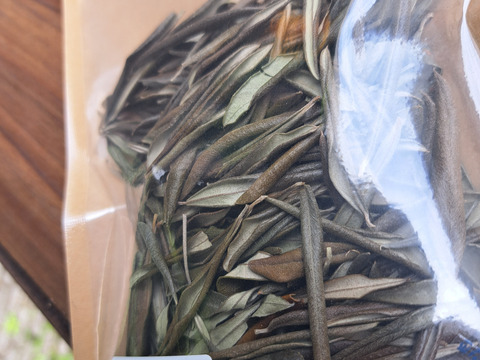 ハーブティーで健康生活 オリーブ茶 15g