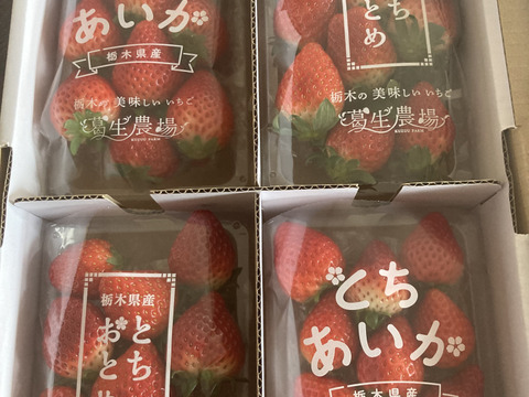 【新旧対決？】とちぎのいちご『とちあいか』・『とちおとめ』2種食べ比べセット（4パック）（260ｇ×4パック）【いちご食べ比べ】「熨斗対応可」