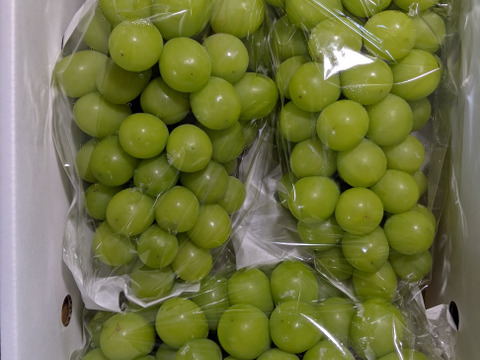 シャインマスカット3房