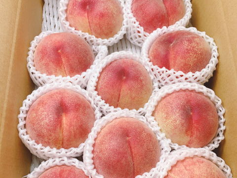 9 頃から発送 数量限定 60品種の桃を栽培 品種は何が届くかお楽しみ 3kg 5 10玉 白桃 長野県産 食べチョク 農家 漁師の産直ネット通販 旬の食材を生産者直送 9 頃から発送 数量限定 60品種の桃を栽培 品種は何が届くかお楽しみ 3kg 5 10玉 白桃 長野県産 食べチョク 農家 漁師の産直ネット通販 旬の食材を生産者直送
