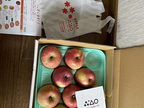 【特別栽培りんご】サンふじ🍎🍏王林セット3kg  キズなし良品🎁 低農薬 化学肥料不使用 特別栽培認証 りんご食べ比べ 詰め合わせ【冬ギフト】