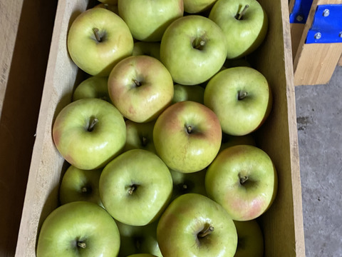 果汁たっぷり！ぐんま名月3kg