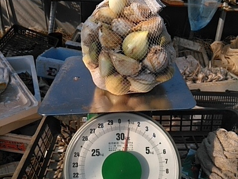 にんにく 皮やぶれ＆バラ粒ふぞろい *1kg