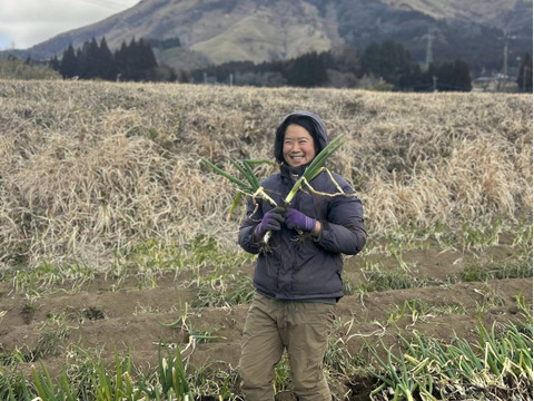 【有機JAS】甘味が乗った！南阿蘇産オーガニック白ネギ（サイズ混合2kg・約25本）