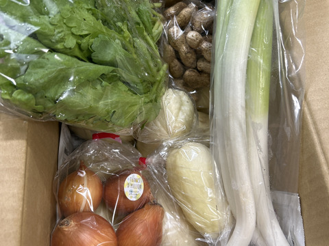 送料無料 日本 冷蔵便【農薬化学肥料不使用】むらざと自然農園 野菜セット(7 野菜