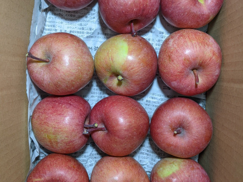 リンゴ加工原料