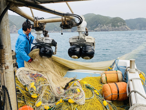 【九州初！！】一艘曳きしらす漁師の絶品生しらす丼セット(2人前)