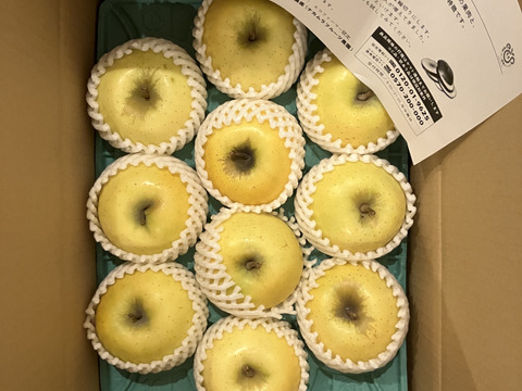 発送中🏃‍♀️💨【正直人気はないですが旨いです！ 】シナノゴールド3キロ箱 6玉〜15玉サイズ ID42541 甘酸っぱい ゴールド 長野県 信州 安曇野 リンゴ