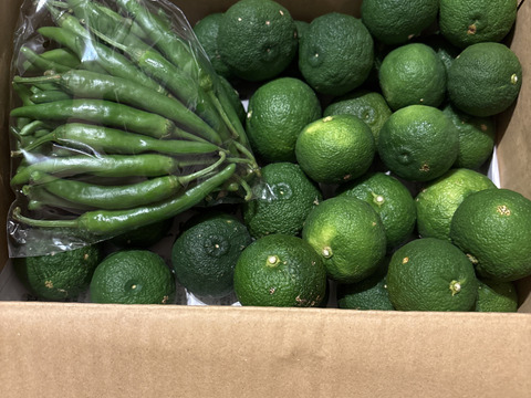 手作りゆず胡椒セット！！青ゆず3㎏＋青唐辛子300g