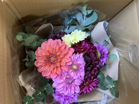 日光園藝おすすめダリアと花瓶のセット
(ラッピングの色ピンクベージュ)