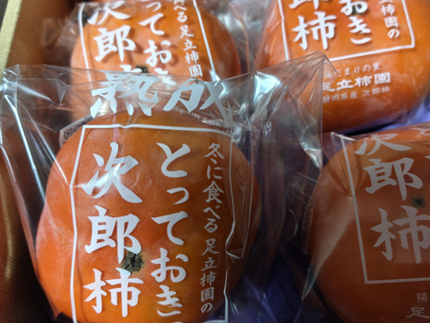 【冬に食べる】幻の柿 次郎柿！木成り完熟の逸品６個入り（1.5ｋｇ）