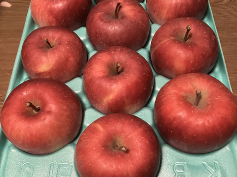 蜜入りチェック済！葉取らずスペシャル3キロ9-13玉葉取らず農薬半減栽培樹上完熟蜜入サンふじ　蜜ライトにて光を通すかチェックします！　りんご　農薬半減栽培で安心安全　　12月10日頃から発送‼️