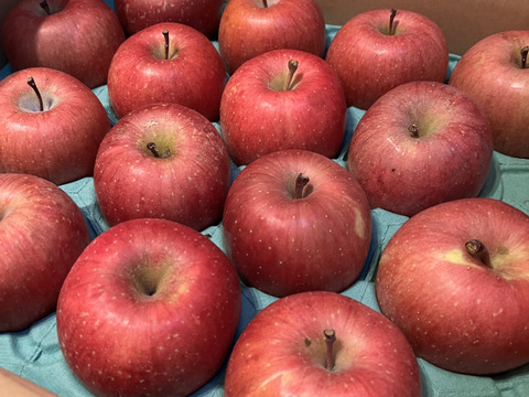 【販売開始！人気商品】青森県産りんご「サンふじ」家庭用 キズ有 約10kg(5kg×2箱) 【美味・光センサー選果済】