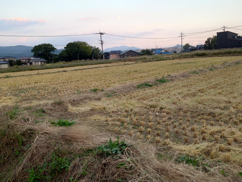 新嘗祭に佐賀県産にこまる玄米の新米です。