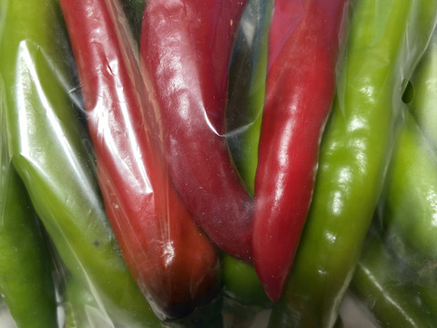 旨辛ファン必見🔥夏の旨辛🌶韓国唐辛子