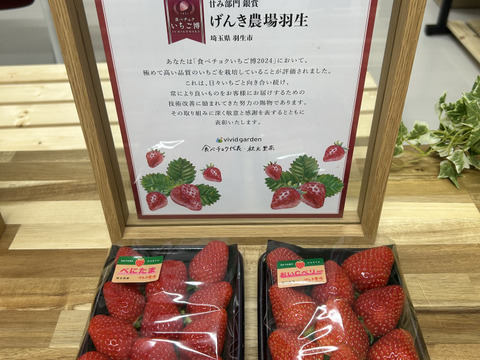 【いちごグランプリ金賞】べにたま VS 農場長おすすめ品種！【いちご食べ比べ】