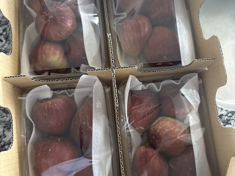 【ご家庭用】朝採りいちじく1箱