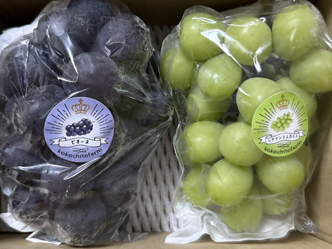 岡山の旬をまるごと満喫！ご家庭で味わう贅沢ないろどりセット