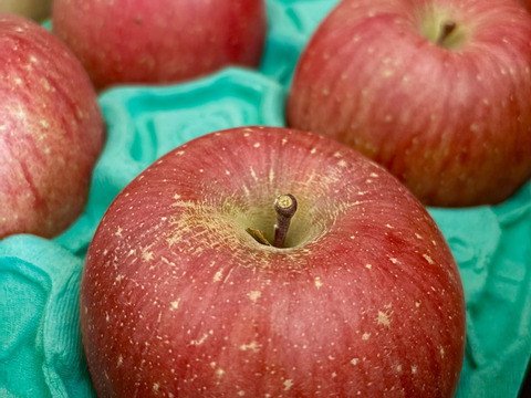 感謝お礼セール‼️とことん味にこだわりました💪😊🍎青森県産葉取らず完熟ふじ約6kg‼️