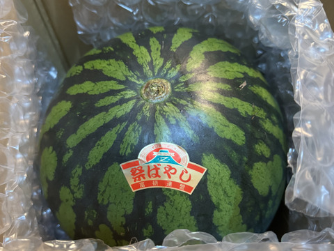 人気No. 1“特選”大玉スイカ🍉3L （8〜9kg）   1玉入り　一つ一つ厳選しお届けします👨🏽‍🌾