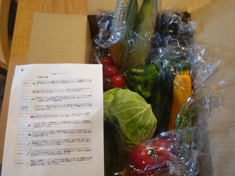 標高800mで育った高原野菜S(9-10品目)野菜セットS