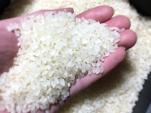 青森/特別栽培米【観音米～KANNONMAI～】１０kg つがるロマン