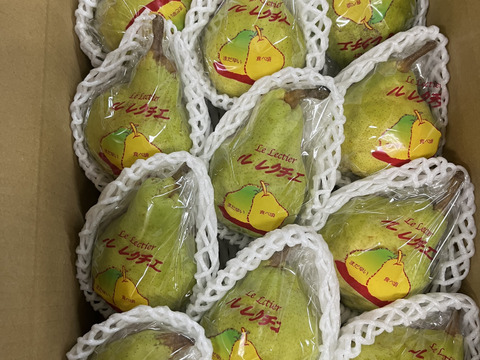 今が旬！高級洋梨 ル・レクチェ（約3kg 11個入り）【冬ギフト】