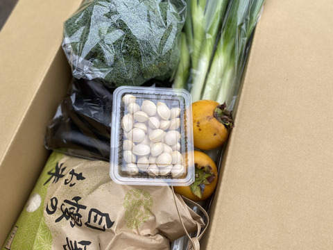 【冬ギフト】使いやすい野菜とお米のセット！深谷ネギが人気♪