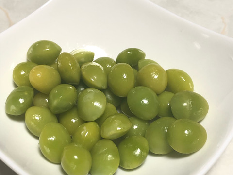 銀杏 600g サイズ:L 品種:久寿 (ぎんなん) 愛知県産 ※今年の販売は終了しました