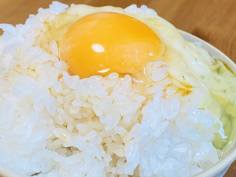 【令和4年度米】淡路島産　お米　ヒノヒカリ　（精米5キロ）×2個セット