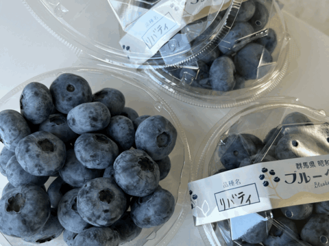 ◉群馬県産◉品種別◉フレッシュ ブルーベリー◉100g×4パック◉農薬不使用