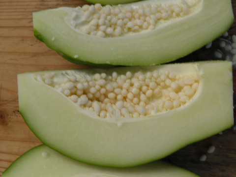 【冬ギフト】【増量中】奄美大島産カリカパパイヤ！