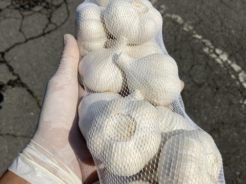 ☆限定☆早い者勝ち！青森県産の大玉！ニンニク 1kg：青森県産