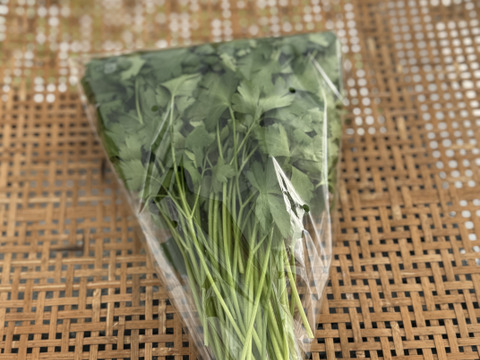 【限定】イタリアンパセリ100gディル30gルッコラ200gお料理で大活躍‼️アクアポニックス野菜🐟