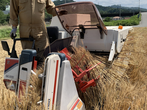 まとめて買うと１袋分無料！地粉うどん１０袋セット 農薬・化学肥料・除草剤不使用　山梨県産小麦粉１００％