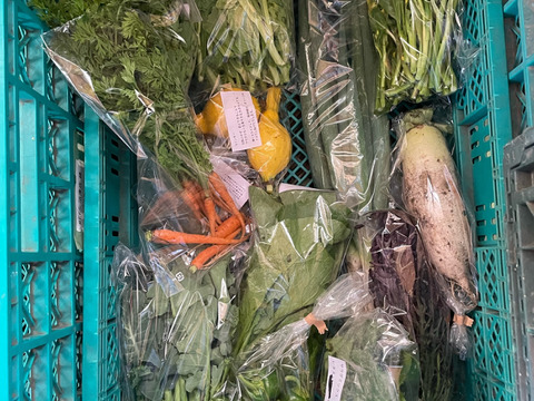 百姓が育てたなにもいれない自然栽培野菜１０品＋梅干し３００ｇ＋みそ５００ｇ