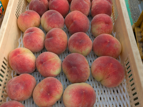 🌟【山梨県笛吹市産】桃プレミアム夢みずき 5.0kgセット🌟