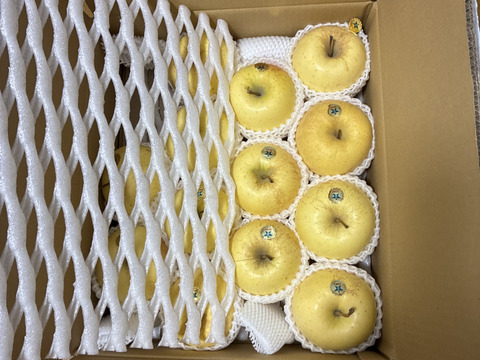 青森りんご  大人気　「希少 」
鮮度良し！！果汁タップリ！！高評価の為　
味に自信アリ！！
 （極み希少金星）
5kg16個〜18個入