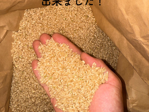 現役農大生がつくる『 はるみ米』玄米10キロ