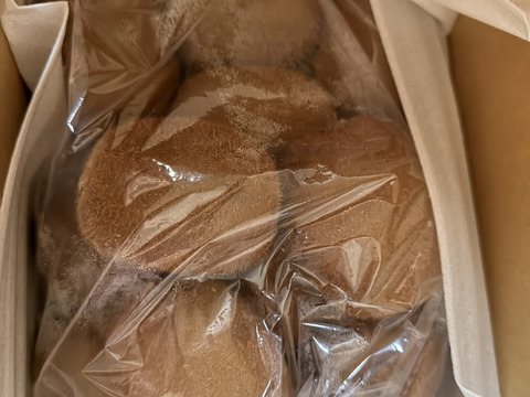 でっかいキウイ　エメラルドSP（２Ｌ以上）家庭用2K箱【品種ヘイワード】