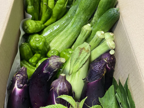 菜花がしゃきしゃき【みどりの畑から野菜たちのセット】自然農の畑から、不耕起草生　草とともに台地の畑で２6年の積み重ね、種とり、農薬肥料不使用）