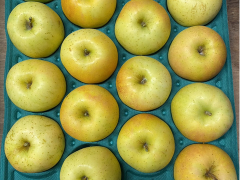 今が旬！特別栽培りんご『トキ（黄りんご）』Ａ品・3㎏