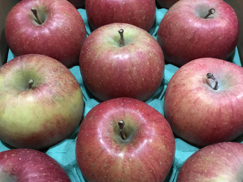 【夜市限定】大玉から順に発送‼️とことん味にこだわりました💪😊🍎青森県産葉取らず完熟ふじ3キロ。