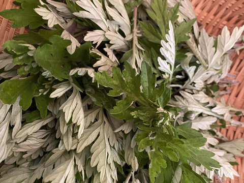 乾燥よもぎ20gと製菓用米粉500g