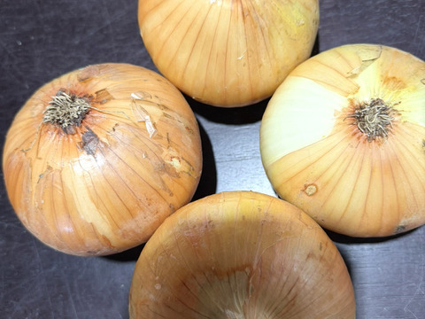 生で食べて欲しい！甘くて美味しい新タマネギ　5ｋｇ