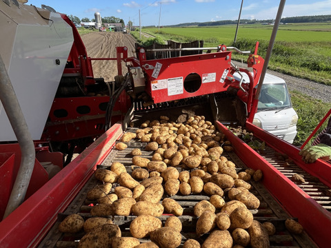 【メークイン１kg】★組み合わせ自由なセット★１kg単位でお好きな量‼️(中サイズ長芋.じゃがいも.ごぼう.玉ねぎ)