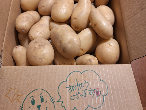【新じゃが箱込4ｋｇ】じゃがバター最強★掘りたてメークイン　（本州の方限定）
