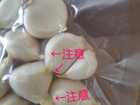 格安！訳あり品!!　北海道しれとこ産　少し発芽にんにく100ｇ～
