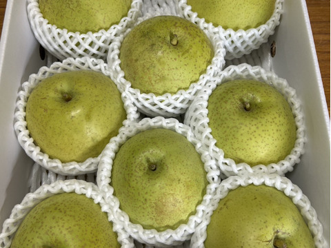 幻の和梨 ギフト かおり梨箱込3.5キロ7-9玉 香豊かでジューシーで